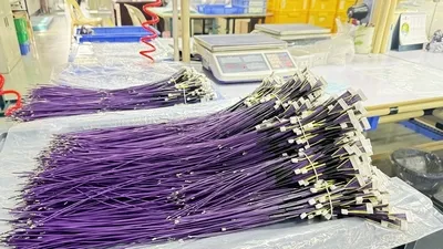 Assembly Organization