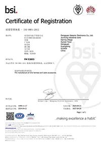 ISO9001 Certification