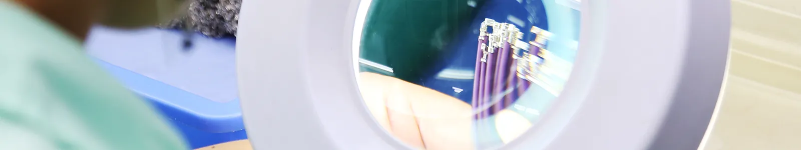 Automotive Wire Harness